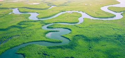 Mullistava maatalouden kastelu: PVC-putkien ja liitosten rooli